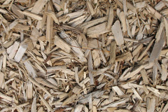 biomass boilers Roston